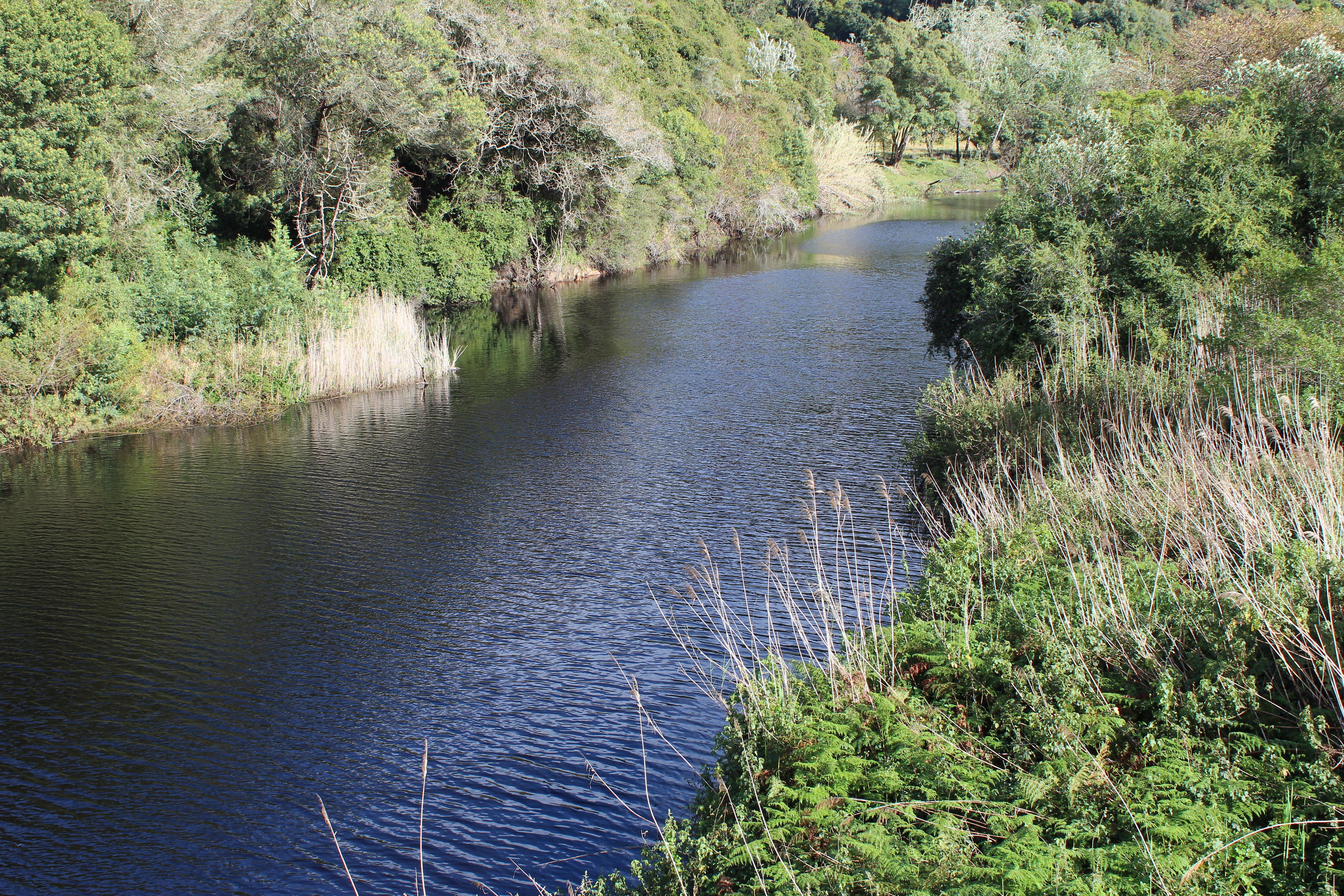 Blackwaters River Lodge, Knysna Exterior foto